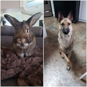 Meet your Posher, Debbie